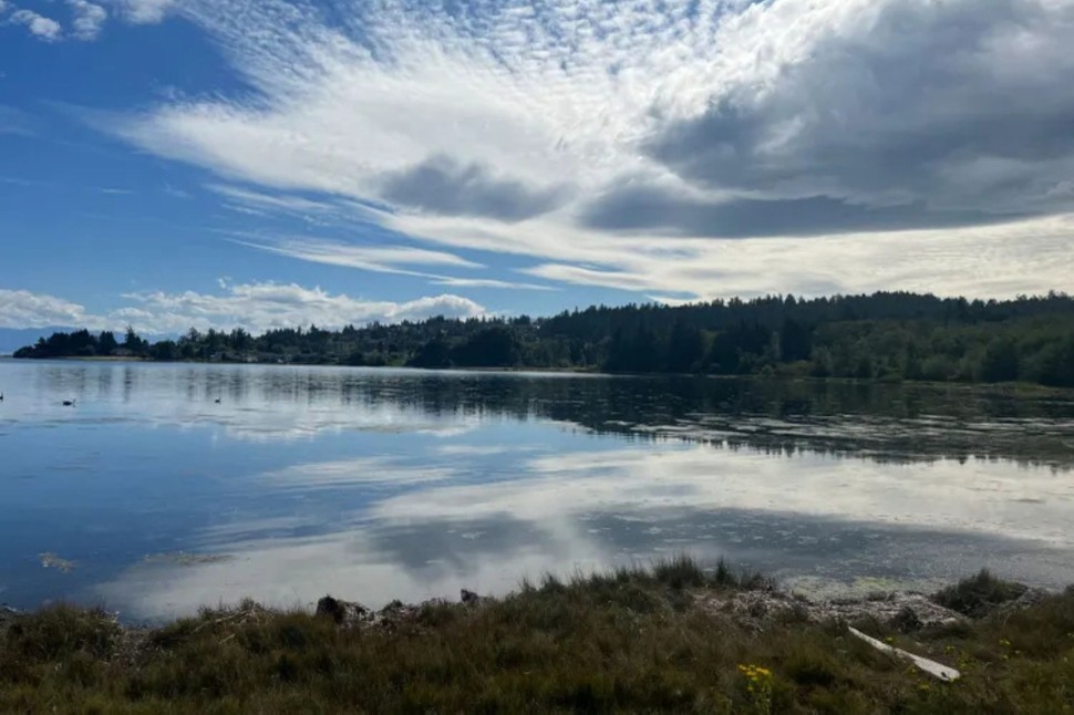 Dash Point State Park
