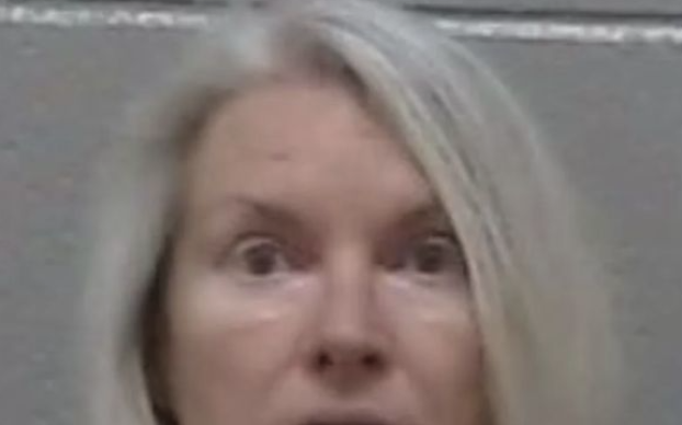 Deana Thetford mugshot