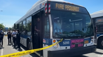 Bus