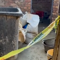 South Africa Shooting