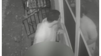 Florida man accused of peeping into young girl's window, touching himself claims he was just urinating